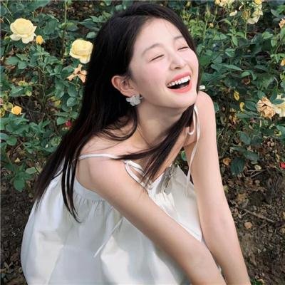 雁南飞